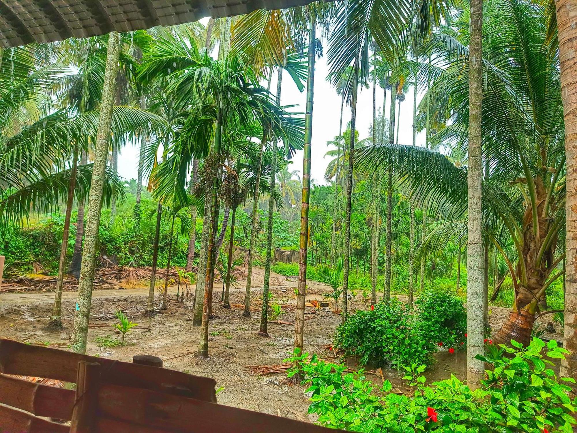 Shivalaya Farmstay Located Amdist Coconut Farm With River Access Near Isha,Adiyogi,Siruvani Alāndurai Buitenkant foto