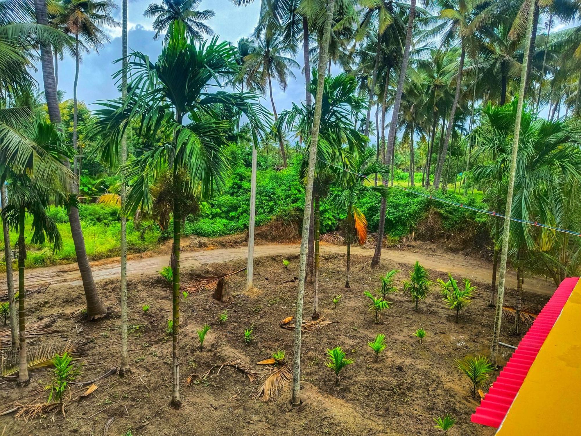 Shivalaya Farmstay Located Amdist Coconut Farm With River Access Near Isha,Adiyogi,Siruvani Alāndurai Buitenkant foto