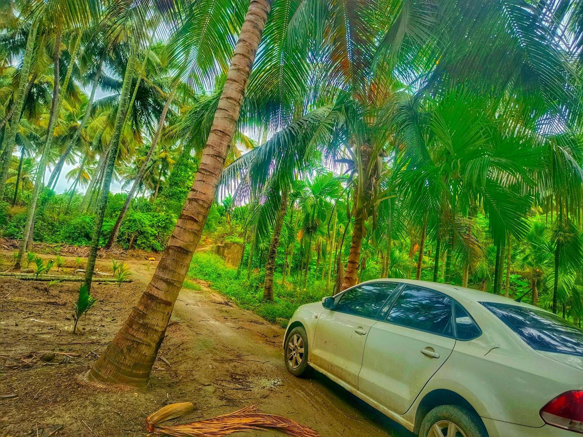 Shivalaya Farmstay Located Amdist Coconut Farm With River Access Near Isha,Adiyogi,Siruvani Alāndurai Buitenkant foto